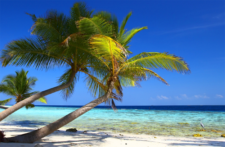 Bahamas Luxury Yacht Charters